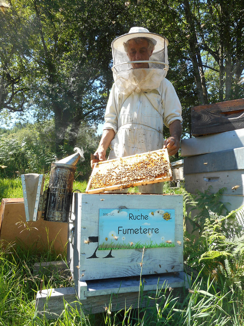 La ruche Fumeterre