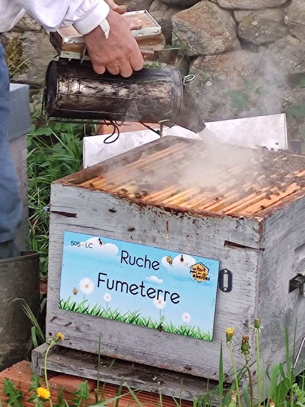 La ruche Fumeterre
