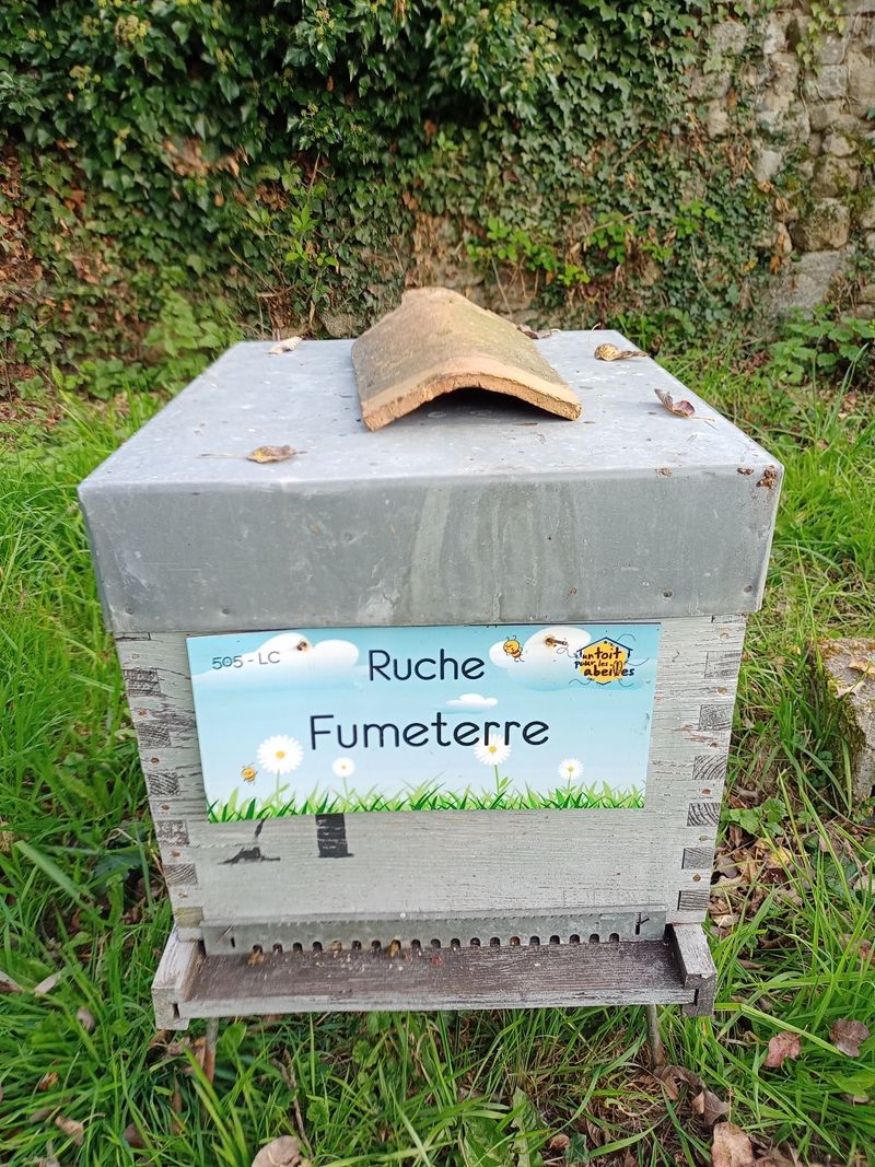 La ruche Fumeterre