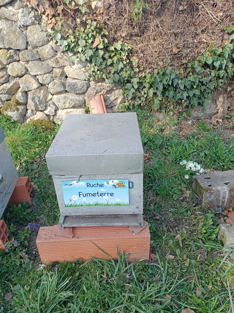 La ruche Fumeterre