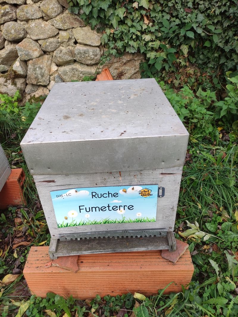 La ruche Fumeterre