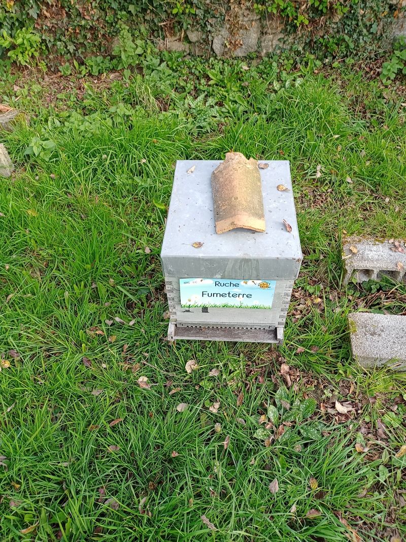 La ruche Fumeterre