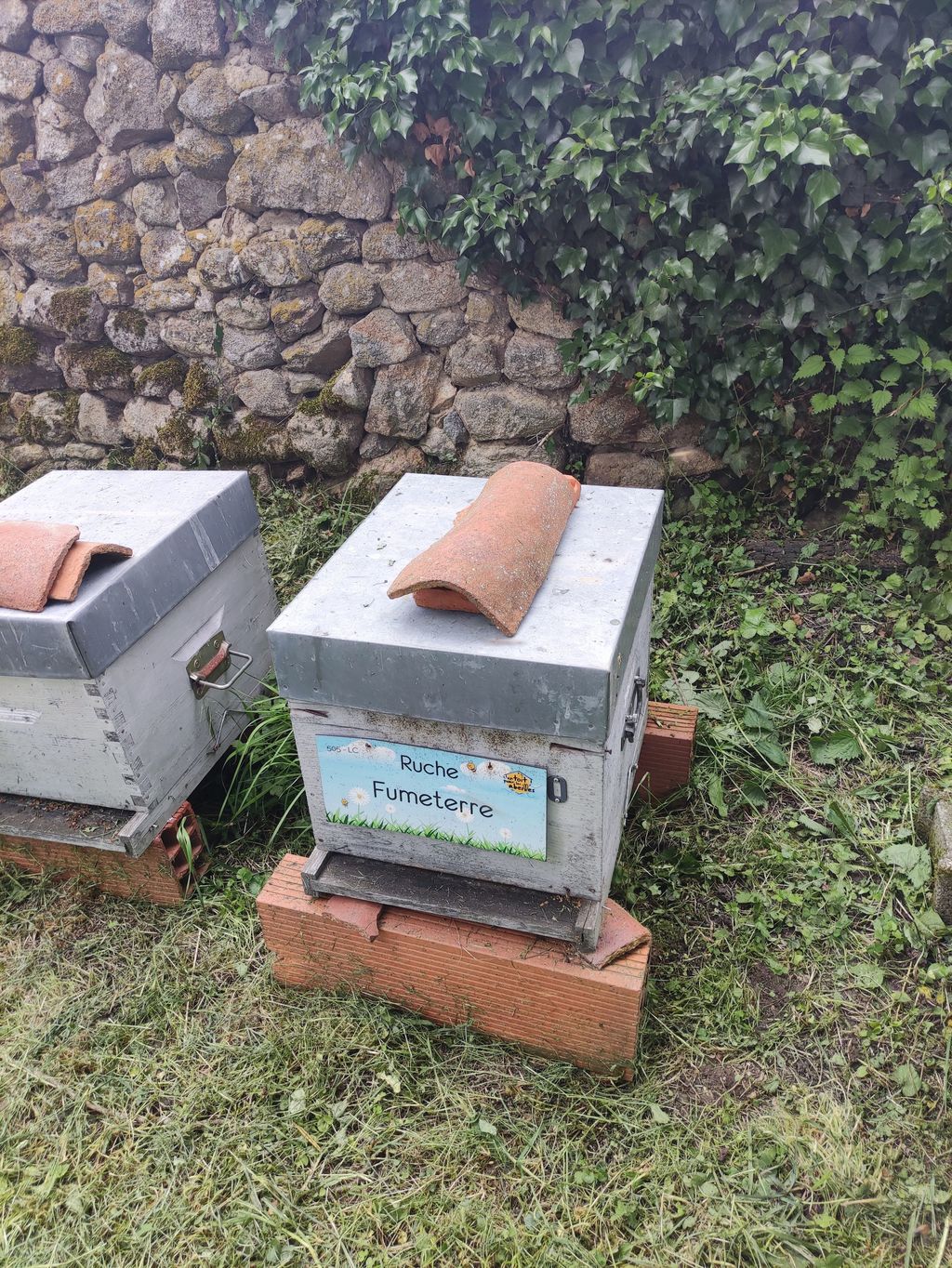 La ruche Fumeterre