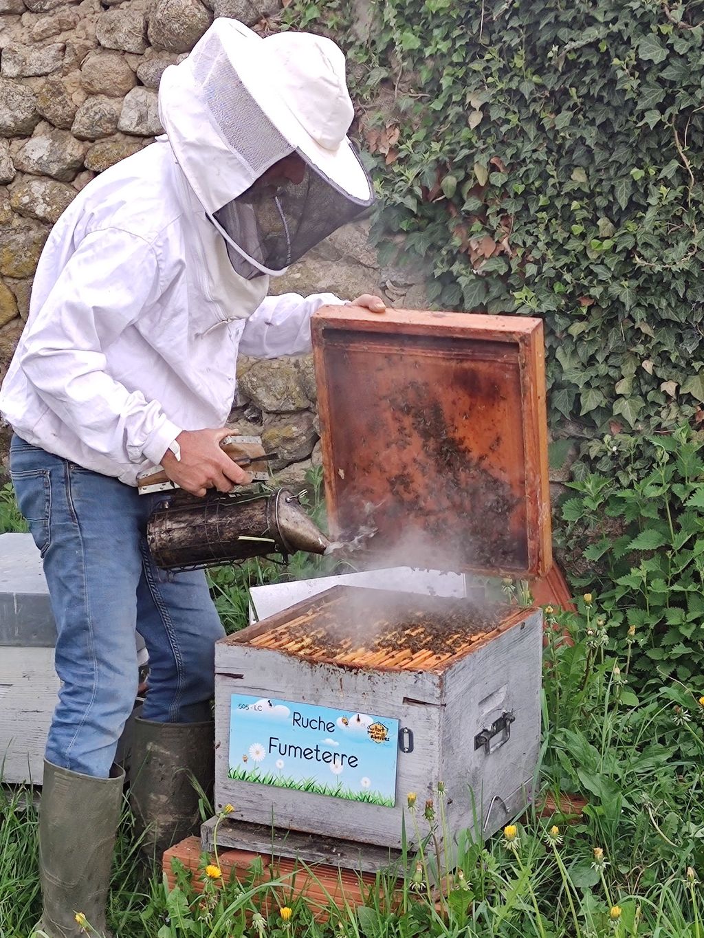 La ruche Fumeterre