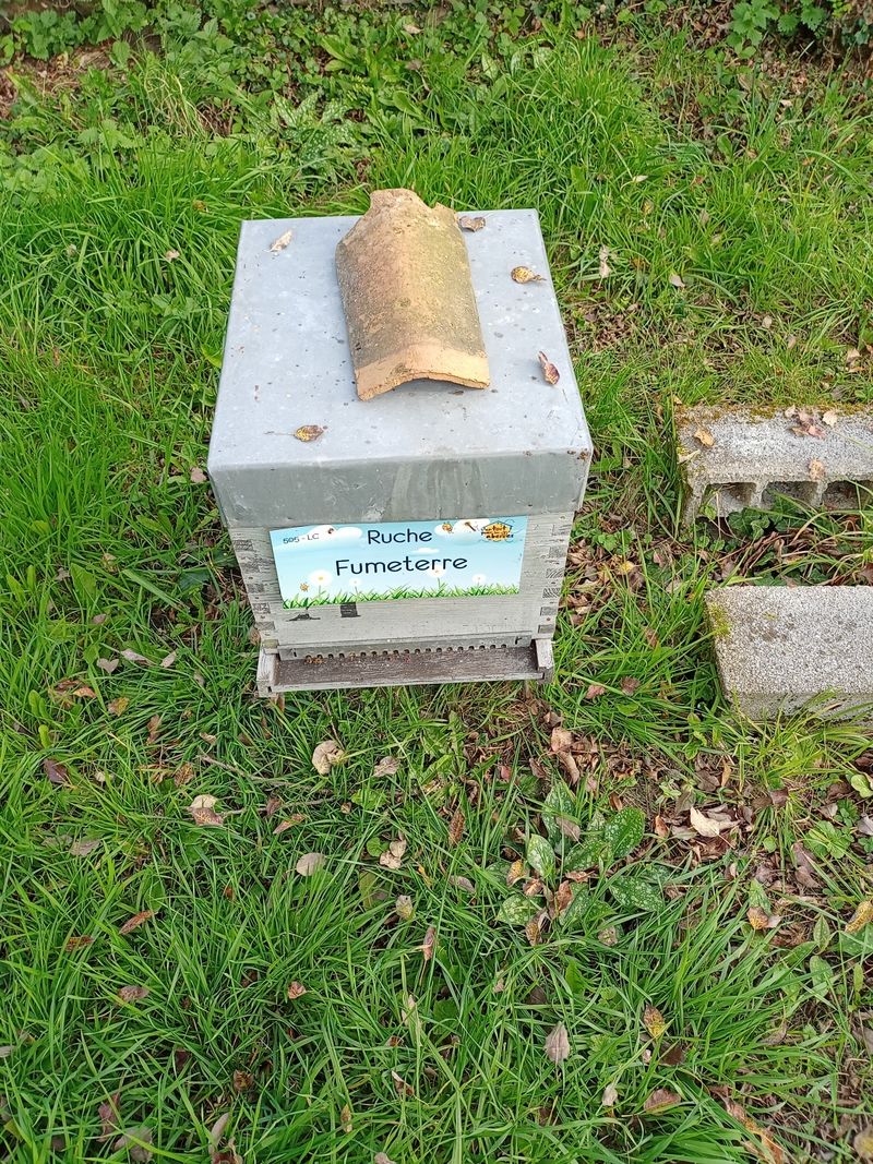 La ruche Fumeterre