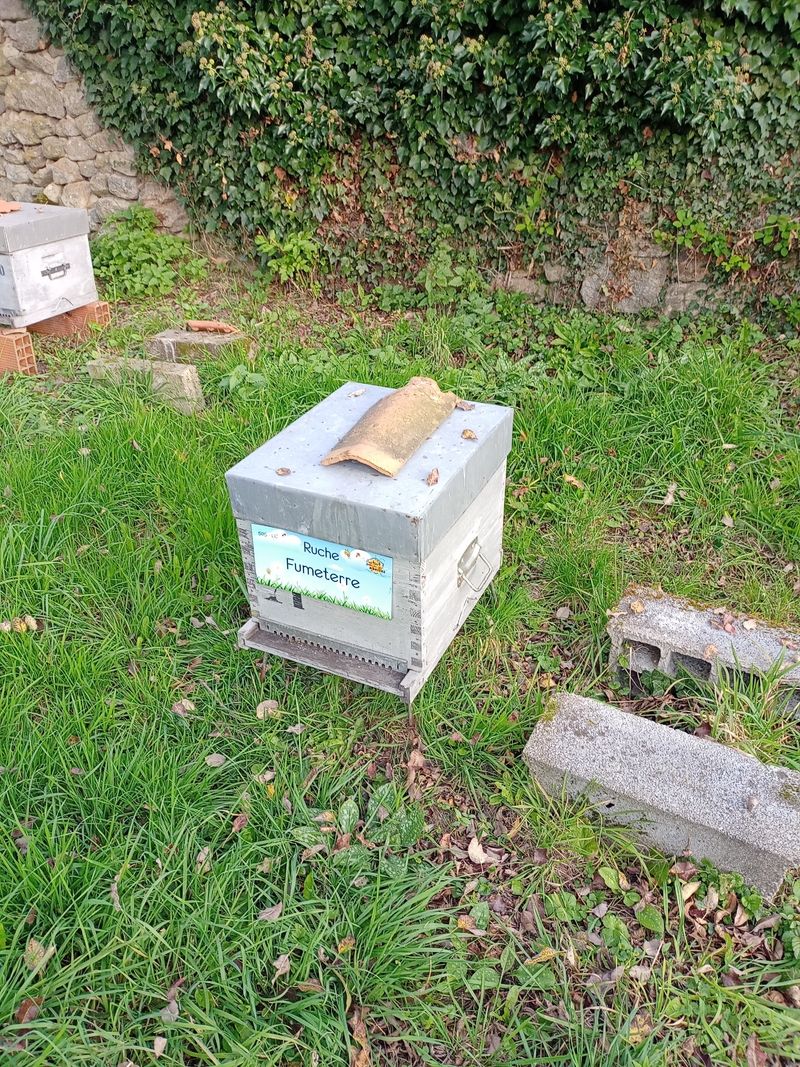 La ruche Fumeterre