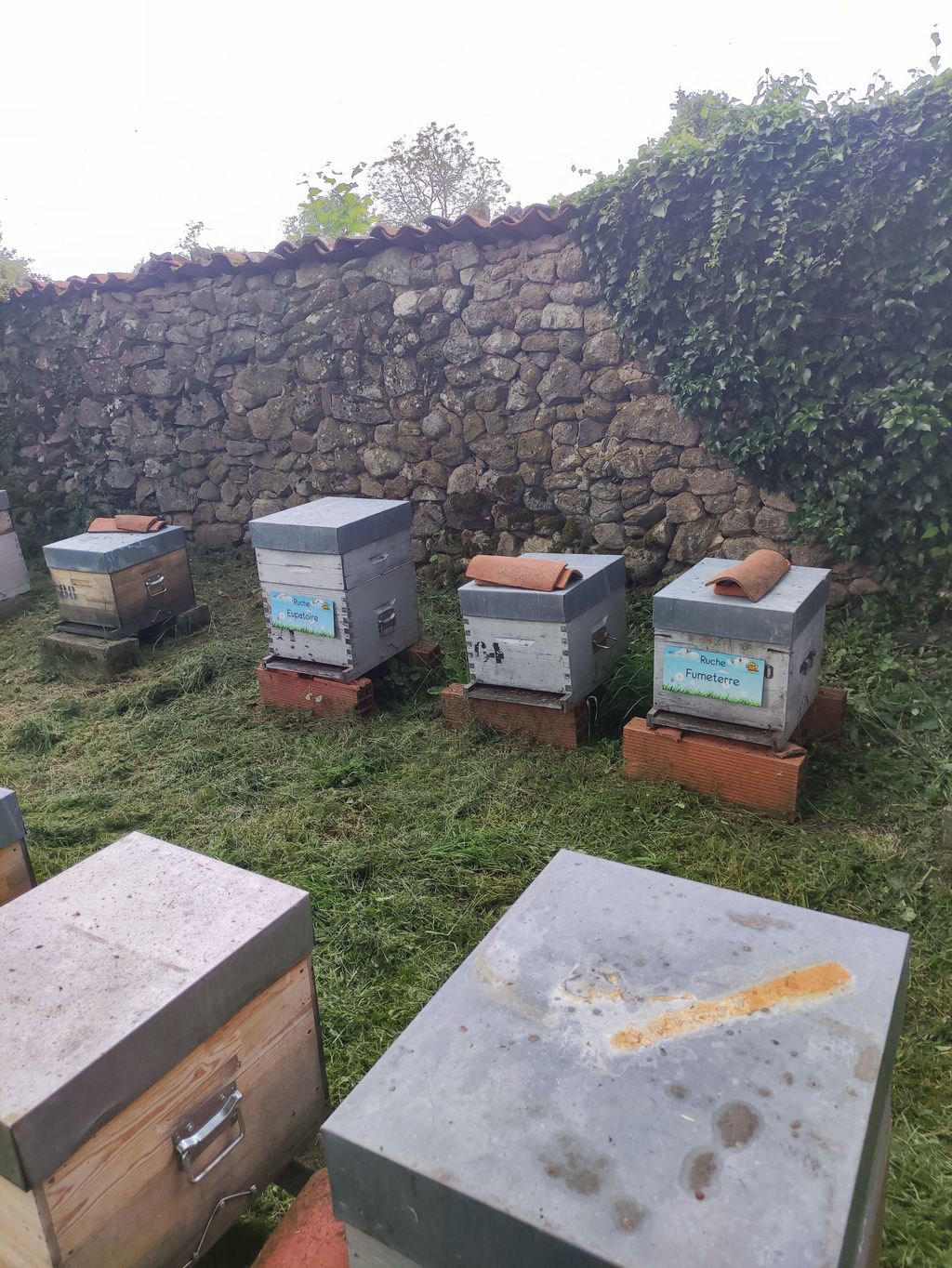 La ruche Fumeterre