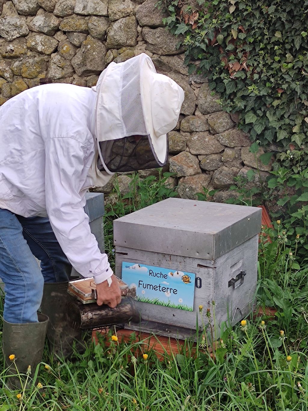 La ruche Fumeterre