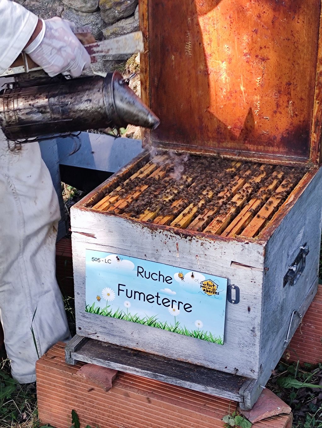 La ruche Fumeterre