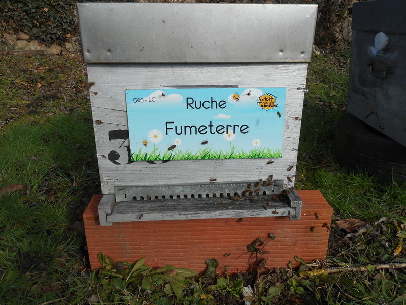 La ruche Fumeterre