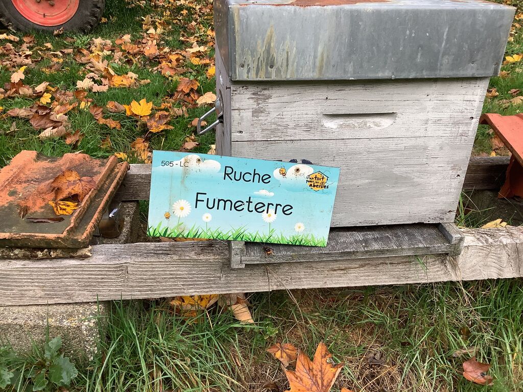 La ruche Fumeterre