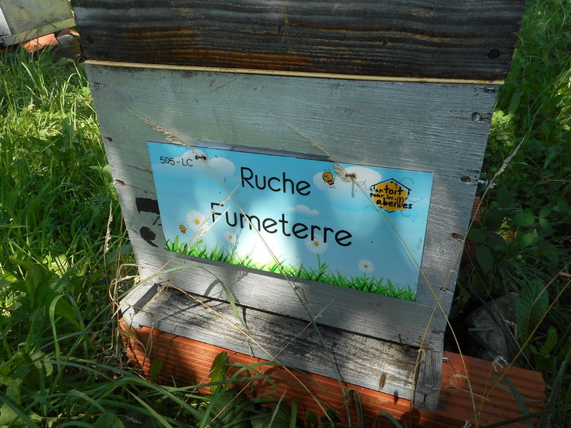 La ruche Fumeterre