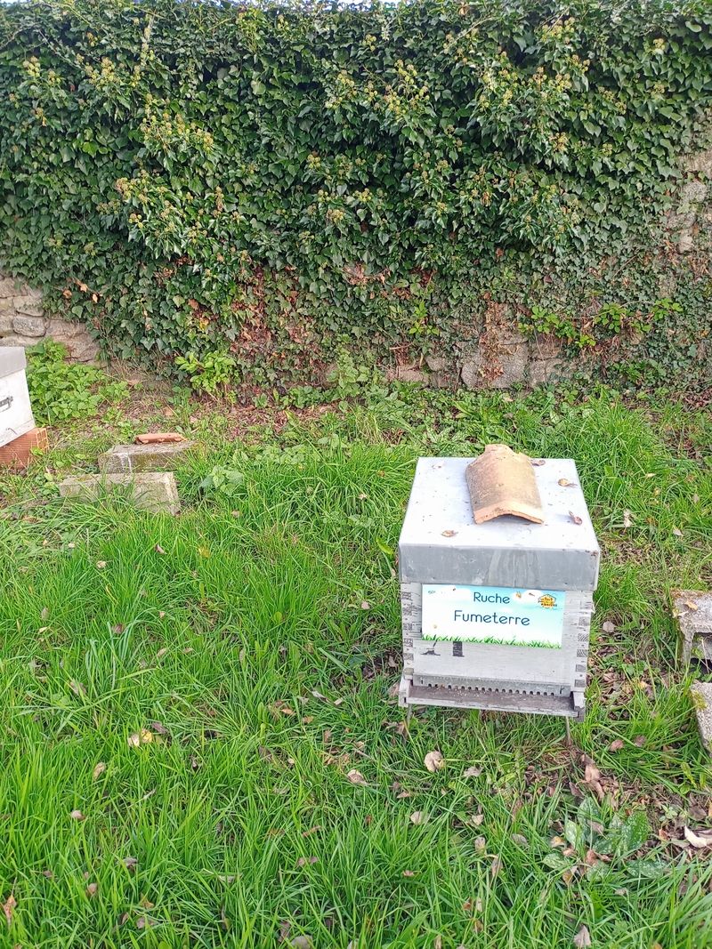 La ruche Fumeterre