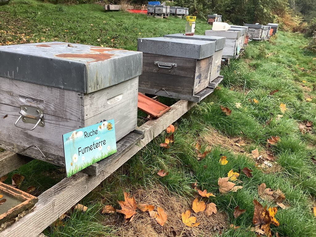 La ruche Fumeterre