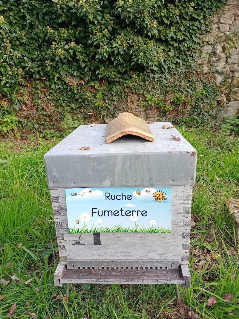 La ruche Fumeterre