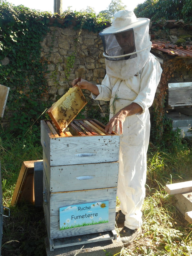 La ruche Fumeterre