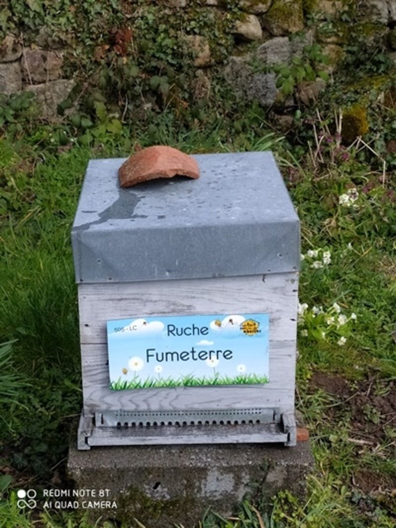 La ruche Fumeterre