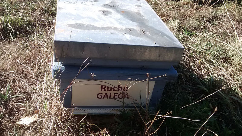 La ruche Galéga