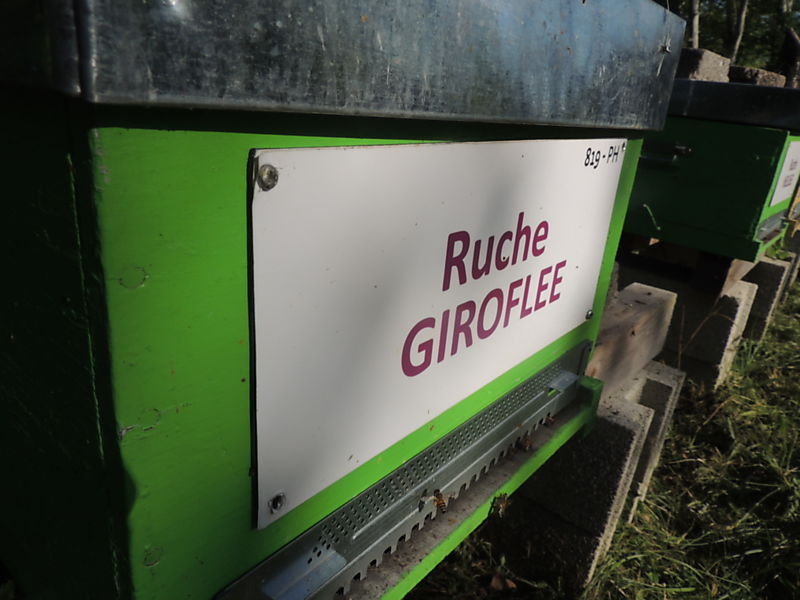 La ruche Giroflee