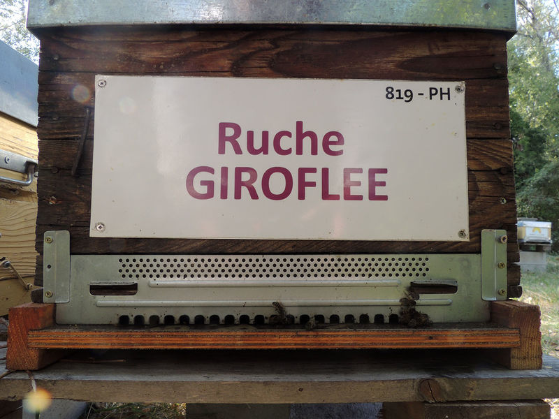 La ruche Giroflee
