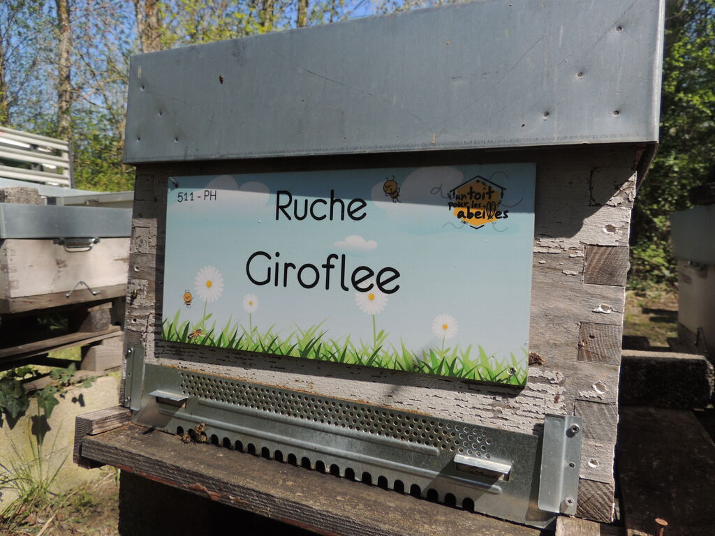 La ruche Giroflee