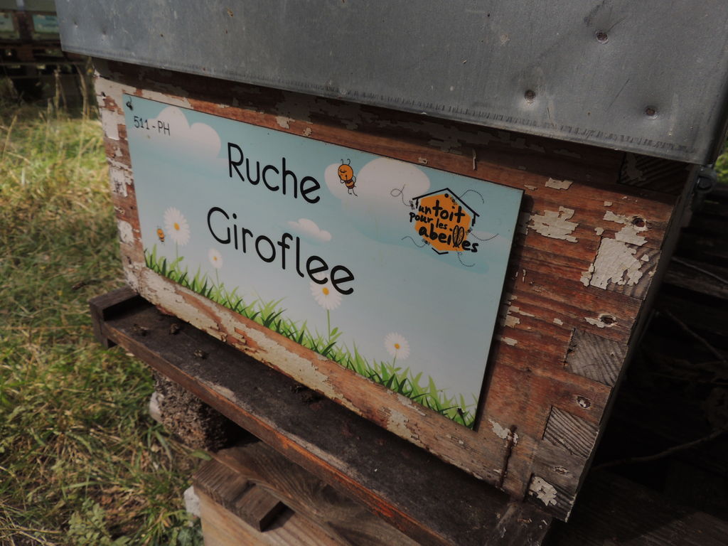 La ruche Giroflee
