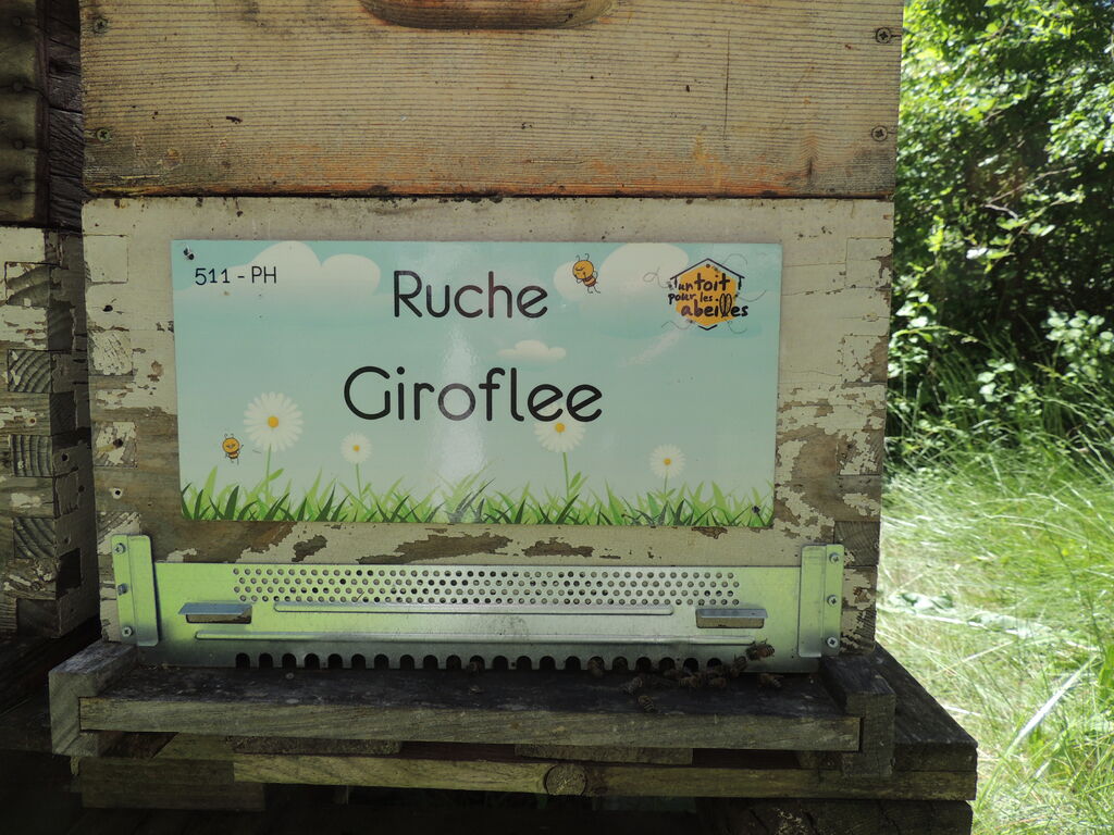 La ruche Giroflee
