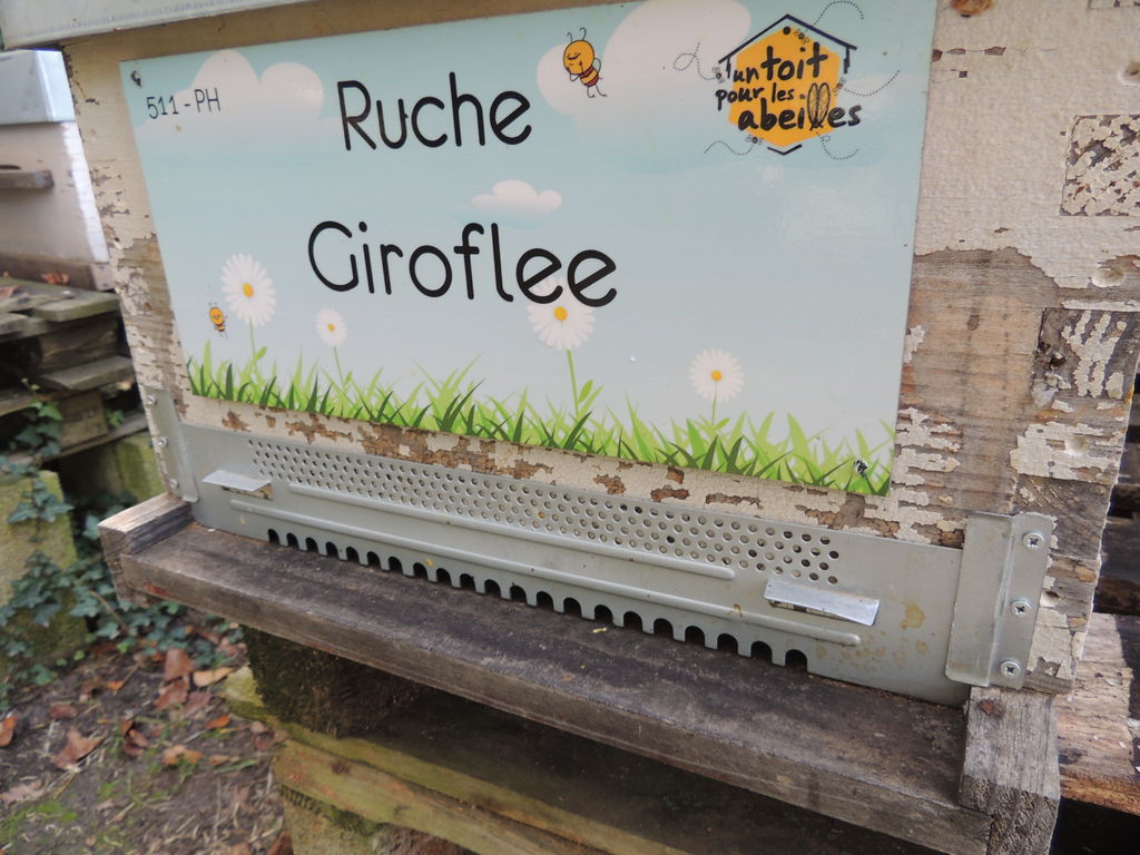 La ruche Giroflee