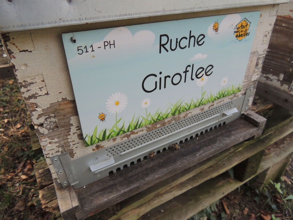 La ruche Giroflee