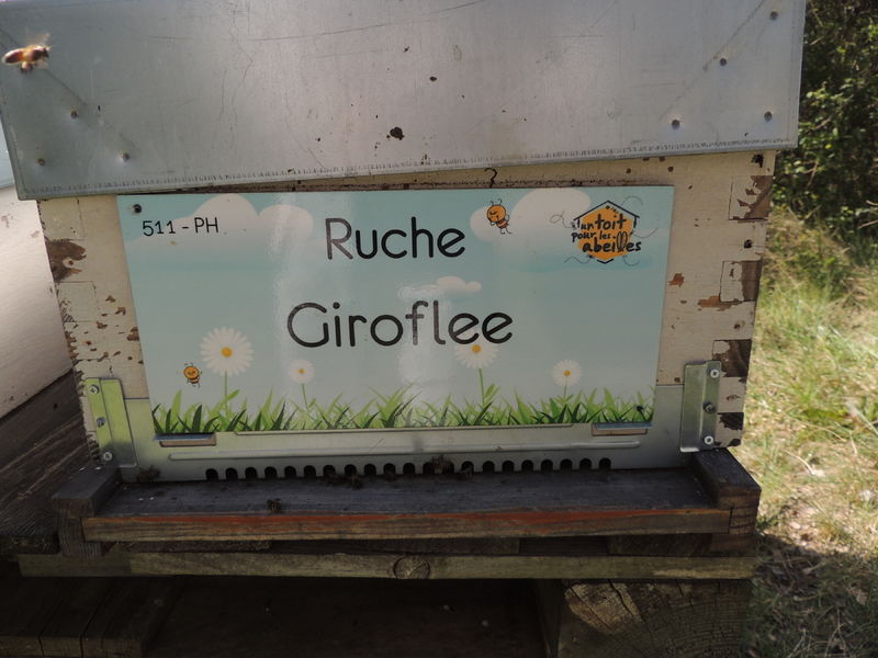 La ruche Giroflee