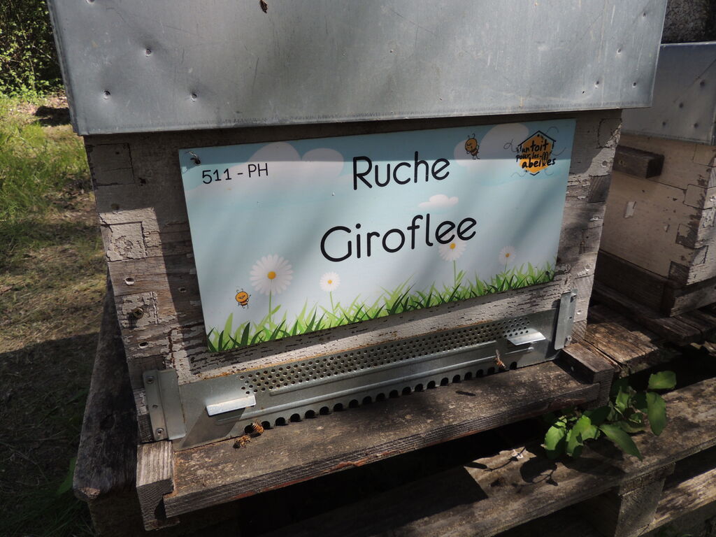 La ruche Giroflee