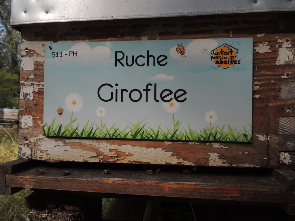 La ruche Giroflee