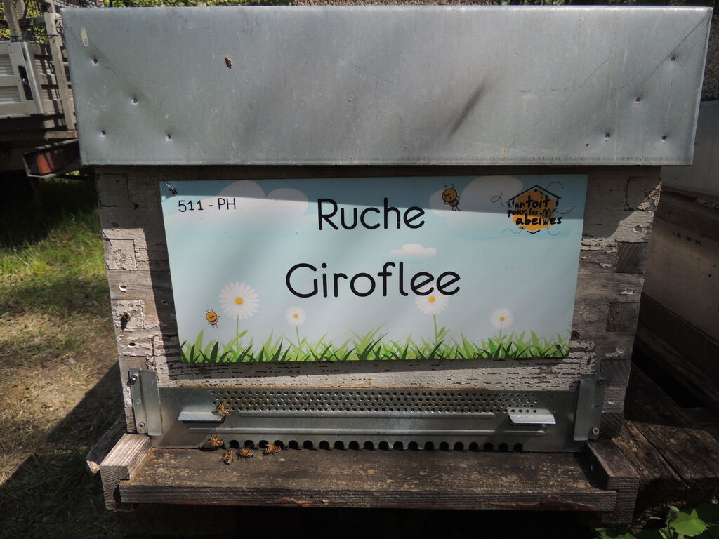 La ruche Giroflee