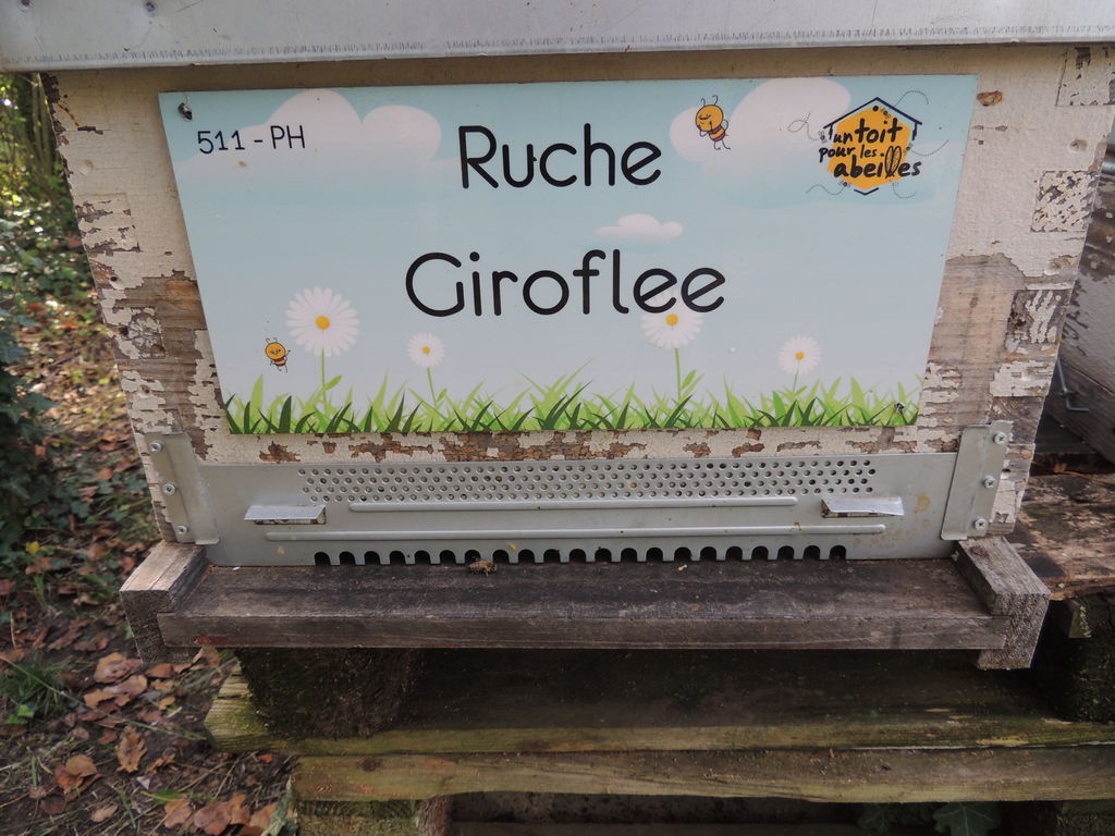 La ruche Giroflee