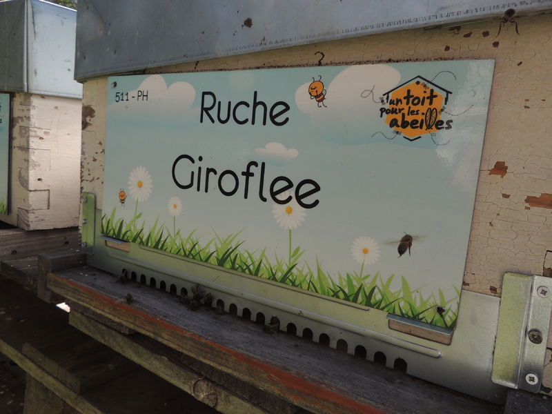 La ruche Giroflee