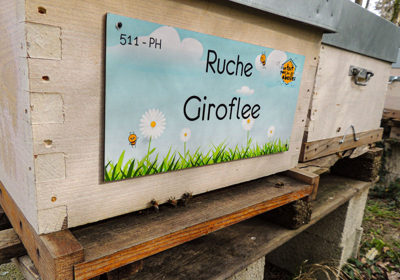 La ruche Giroflee