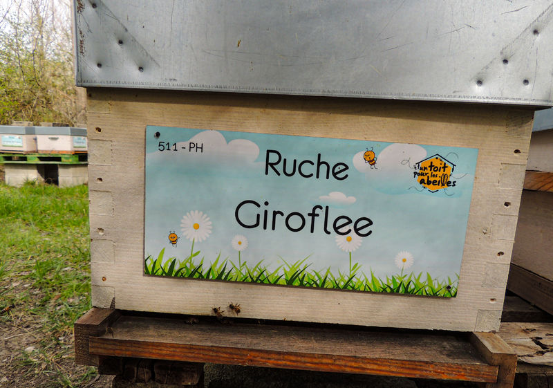 La ruche Giroflee