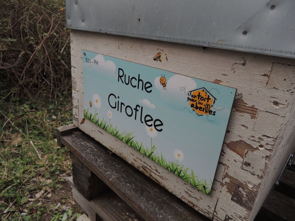 La ruche Giroflee