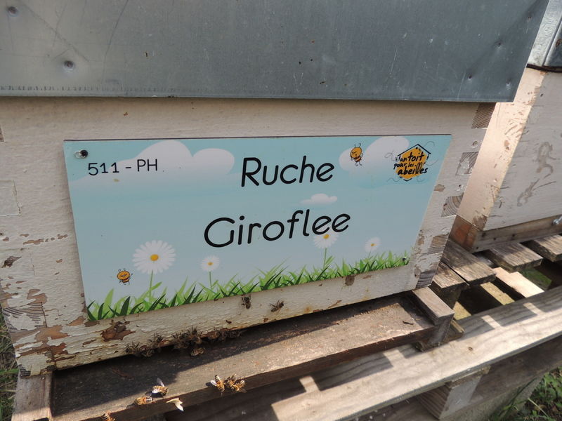 La ruche Giroflee