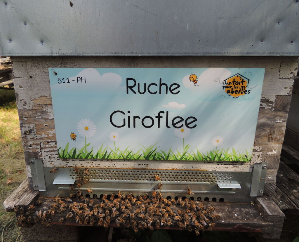 La ruche Giroflee