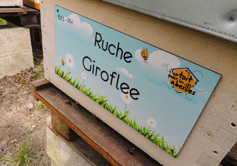 La ruche Giroflee