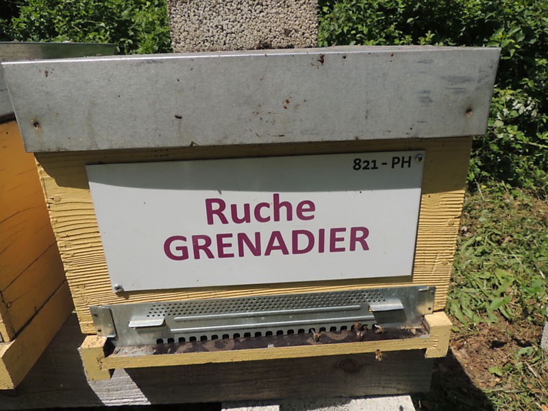 La ruche Grenadier