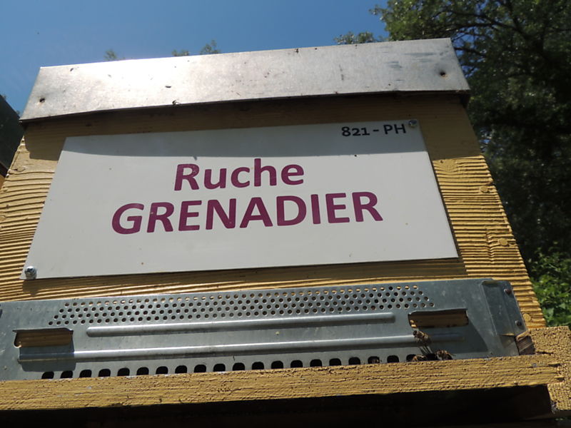 La ruche Grenadier