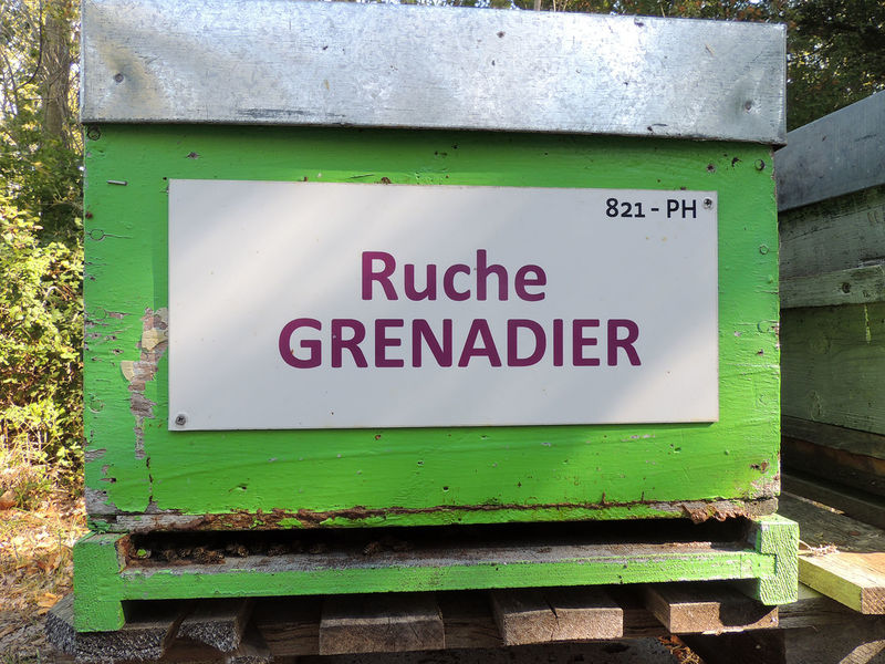 La ruche Grenadier
