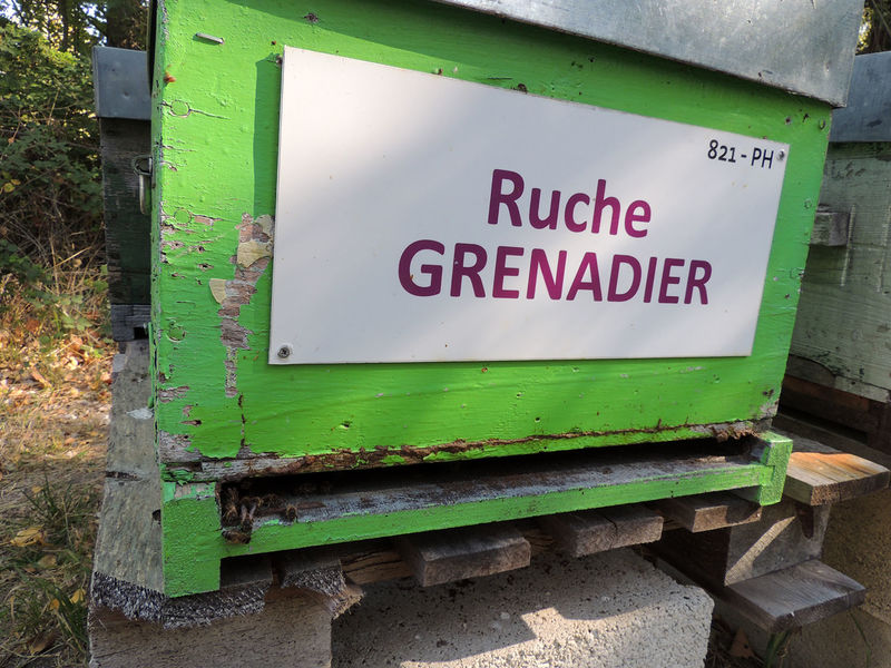 La ruche Grenadier