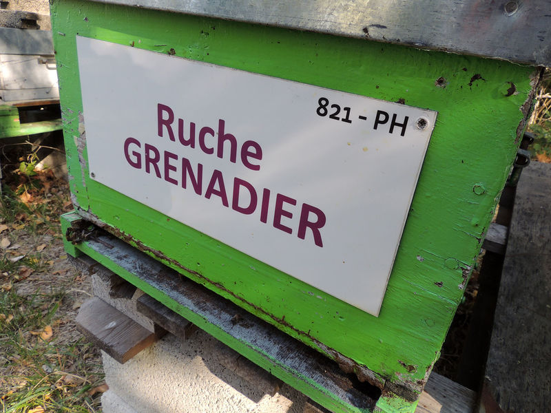 La ruche Grenadier