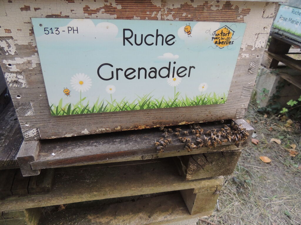La ruche Grenadier