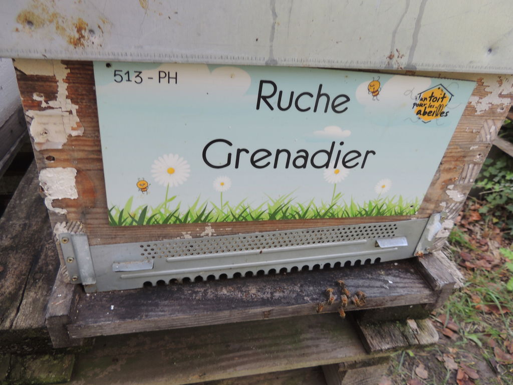 La ruche Grenadier