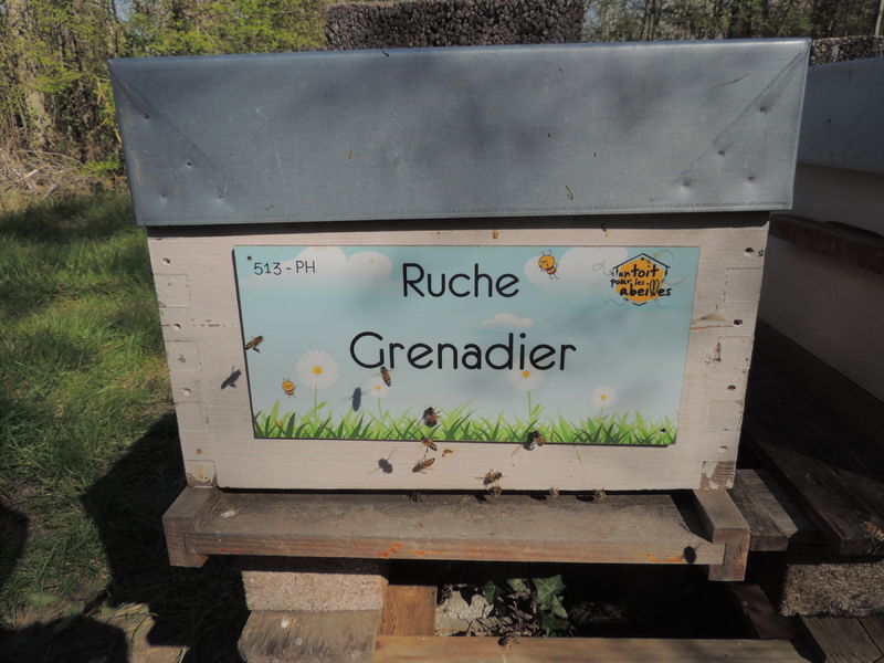 La ruche Grenadier