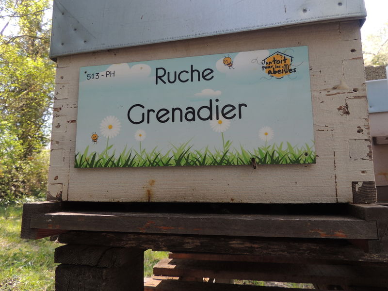 La ruche Grenadier